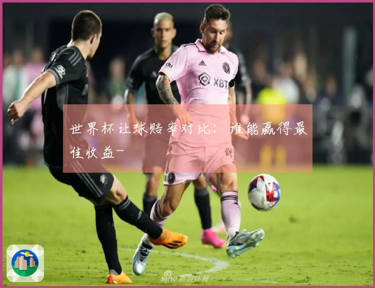 世界杯让球赔率对比：谁能赢得最佳收益-