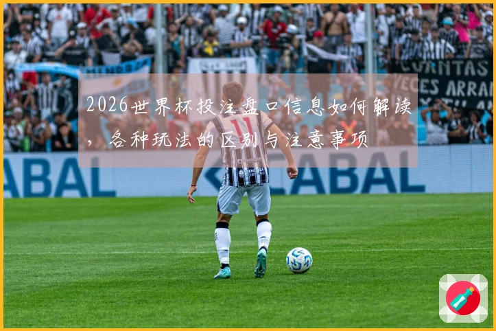 2026世界杯投注盘口信息如何解读,各种玩法的区别与注意事项