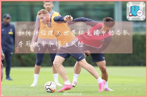如何评估烽火世界杯竞猜中的各队夺冠概率和投注风险