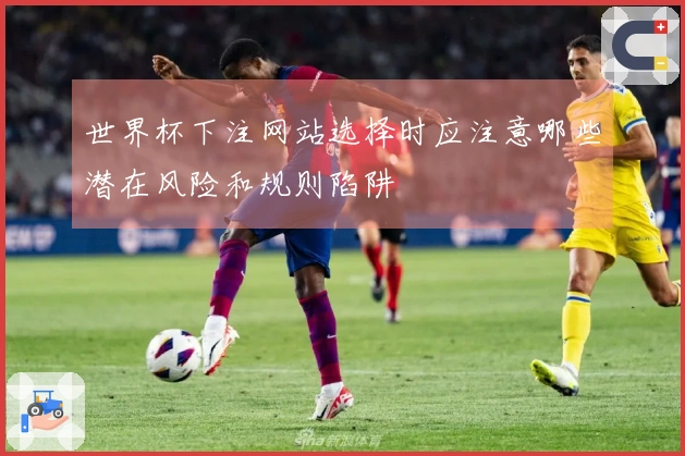 世界杯下注网站选择时应注意哪些潜在风险和规则陷阱