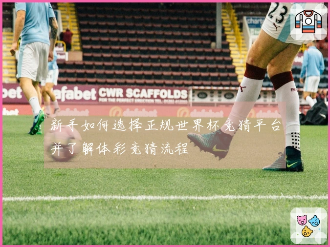 新手如何选择正规世界杯竞猜平台并了解体彩竞猜流程