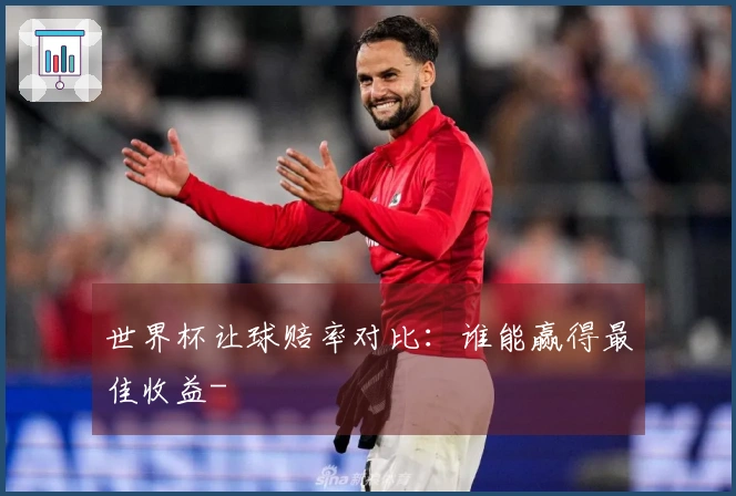 世界杯让球赔率对比：谁能赢得最佳收益-