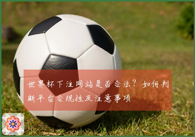 世界杯下注网站是否合法？如何判断平台合规性及注意事项