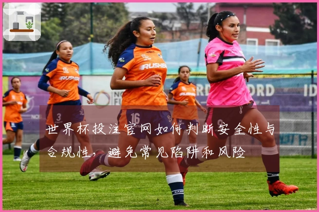 世界杯投注官网如何判断安全性与合规性，避免常见陷阱和风险