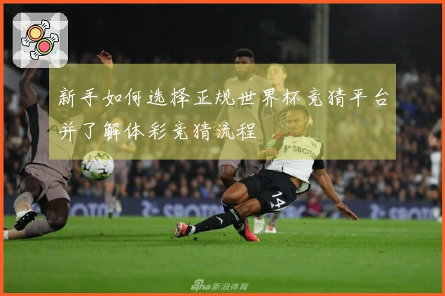 新手如何选择正规世界杯竞猜平台并了解体彩竞猜流程